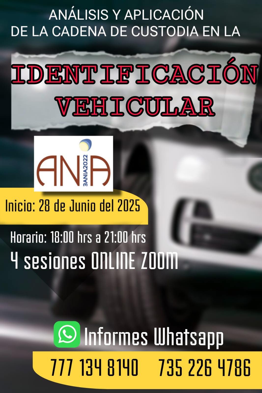 Imagen en pantalla completa